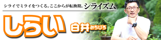 header.png